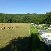 camping-le-bois-du-coderc-antonne-et-trigonant-wfcgx