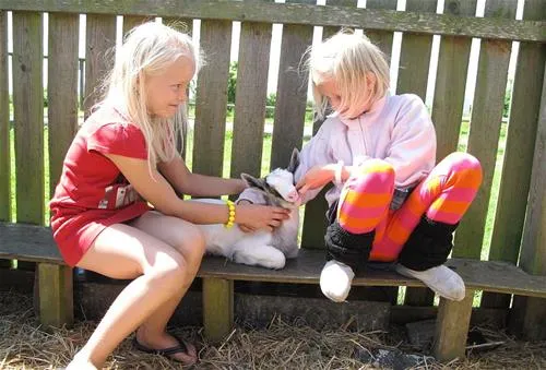 ballen-strandcamping-sams-bgyoi