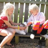 ballen-strandcamping-sams-bgyoi