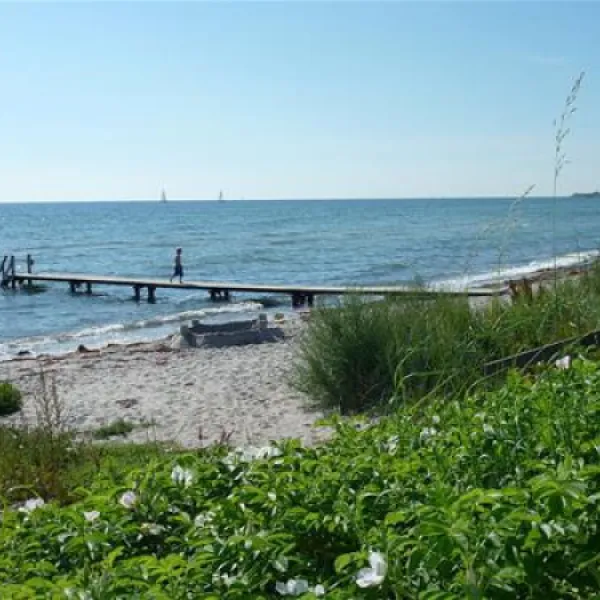 ballen-strandcamping-sams-etv1e