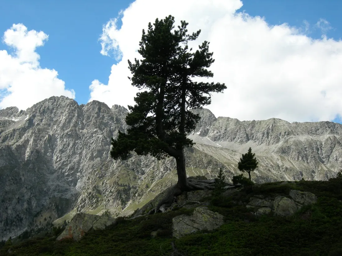 camping-antholz-antholz-lsov4