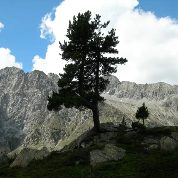 camping-antholz-antholz-lsov4