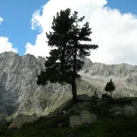 camping-antholz-antholz-lsov4