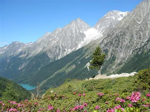 camping-antholz-antholz-okcen