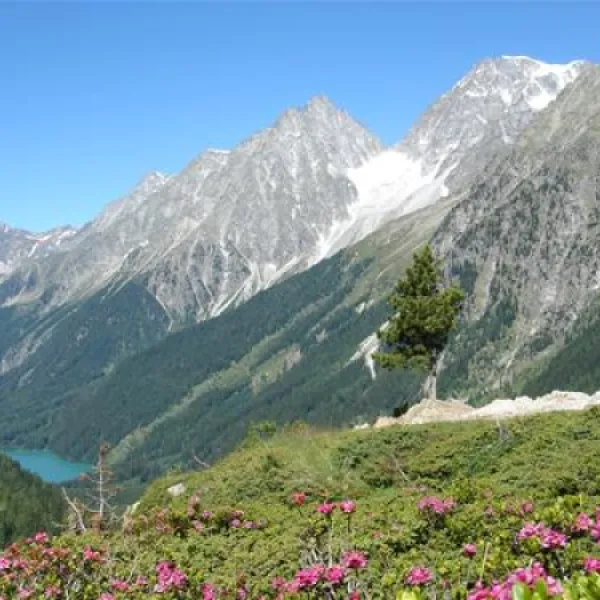 camping-antholz-antholz-okcen