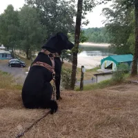 Camping Municipal Puy De Veix