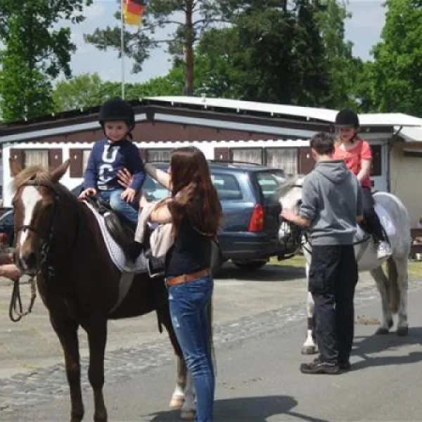 campingplatzwinsen-winsen-an-der-aller-pm6gz