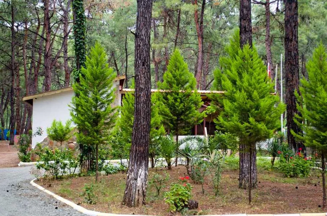 aktur-camping-datcaaktur-7rlia