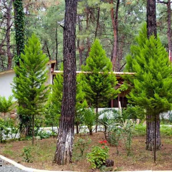 aktur-camping-datcaaktur-7rlia