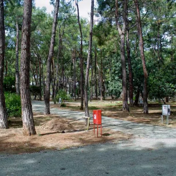 aktur-camping-datcaaktur-gzbnq