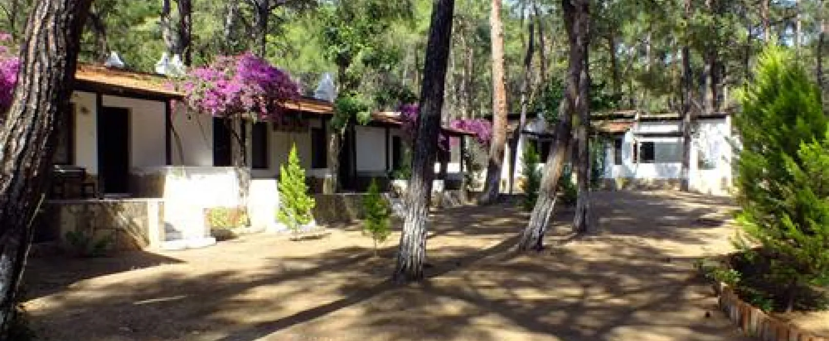Aktur Camping