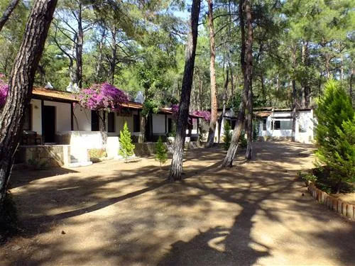 aktur-camping-datcaaktur-msw3b
