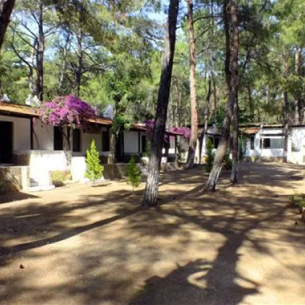 aktur-camping-datcaaktur-msw3b