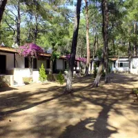aktur-camping-datcaaktur-msw3b