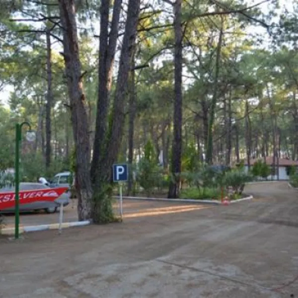 aktur-camping-datcaaktur-nsnit