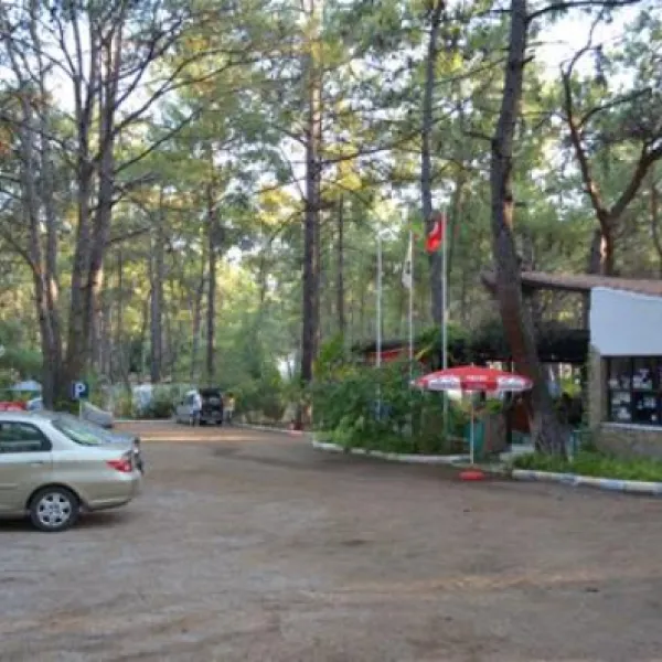 aktur-camping-datcaaktur-zvirm