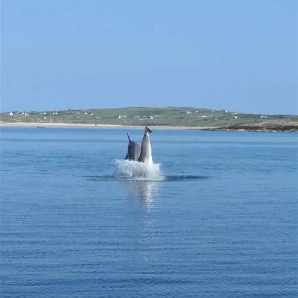 clifden-eco-beach-camping-caeavanning-park-clifden-idbv9