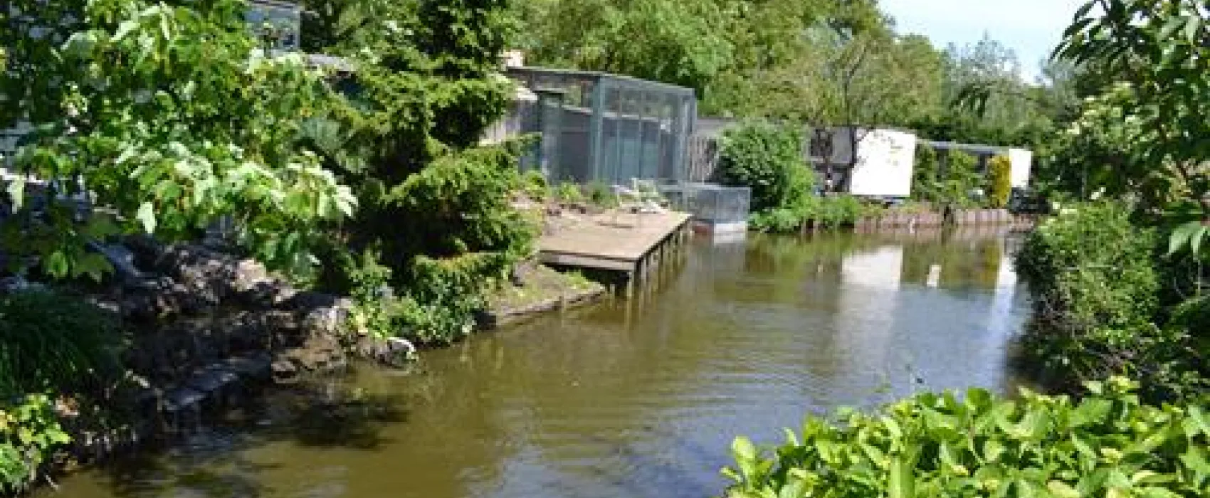 Camping Streefland