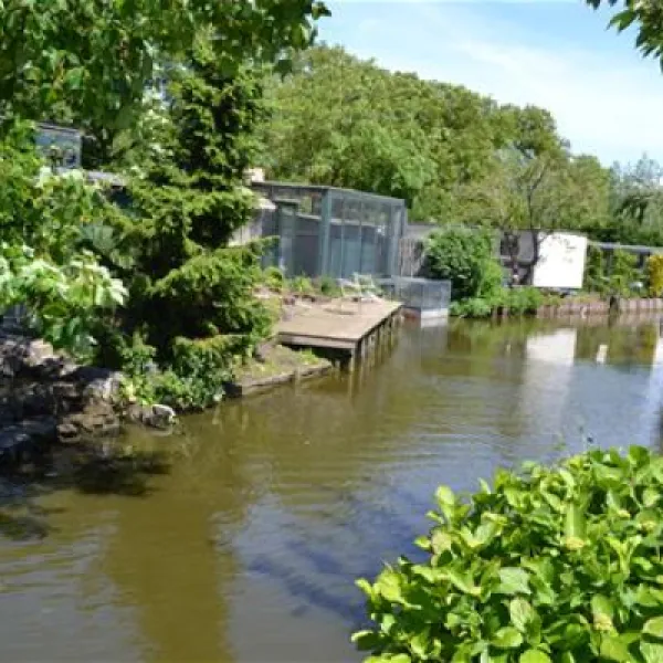 camping-streefland-haastrecht-idjob