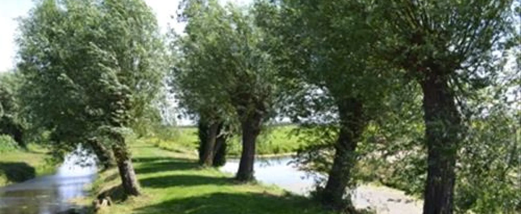 Camping Streefland