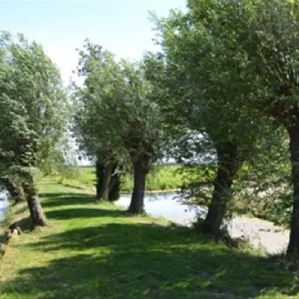camping-streefland-haastrecht-yaxls