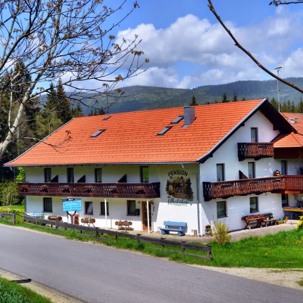 camping-waldhof-nebelberg-bei-langdorf-uhkqy