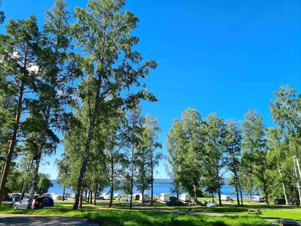 arvika-swecamp-ingestrand-arvika-5uxlf