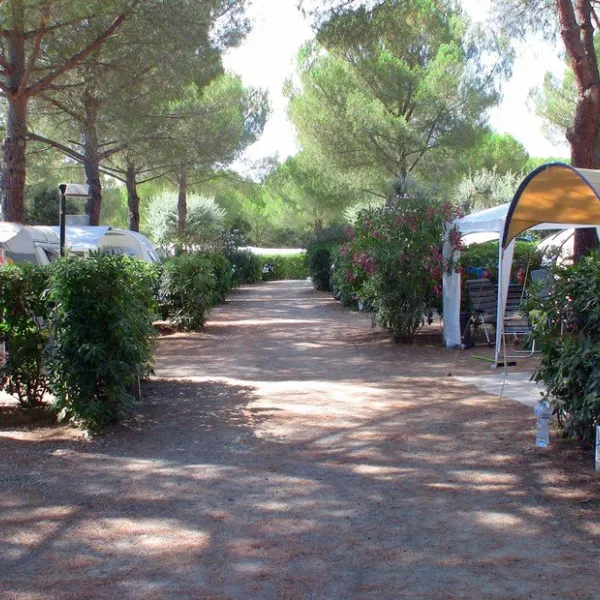 camping-valle-gaia-residence-la-casetta-casale-marittimo-jcuqo