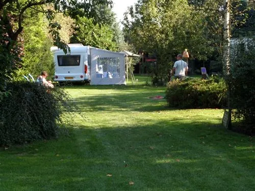 minicamping-theetuin-de-vlinder-coevorden-v1d78
