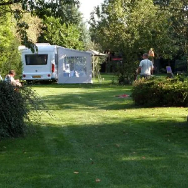 minicamping-theetuin-de-vlinder-coevorden-v1d78