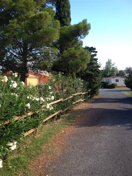 yelloh-village-les-mimosas-narbonne-6g7ut