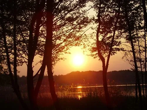 schwielowsee-camping-schwielowsee-ot-ferch-lvixy