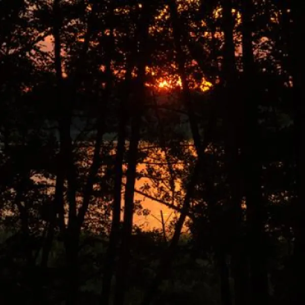 schwielowsee-camping-schwielowsee-ot-ferch-nkqnt