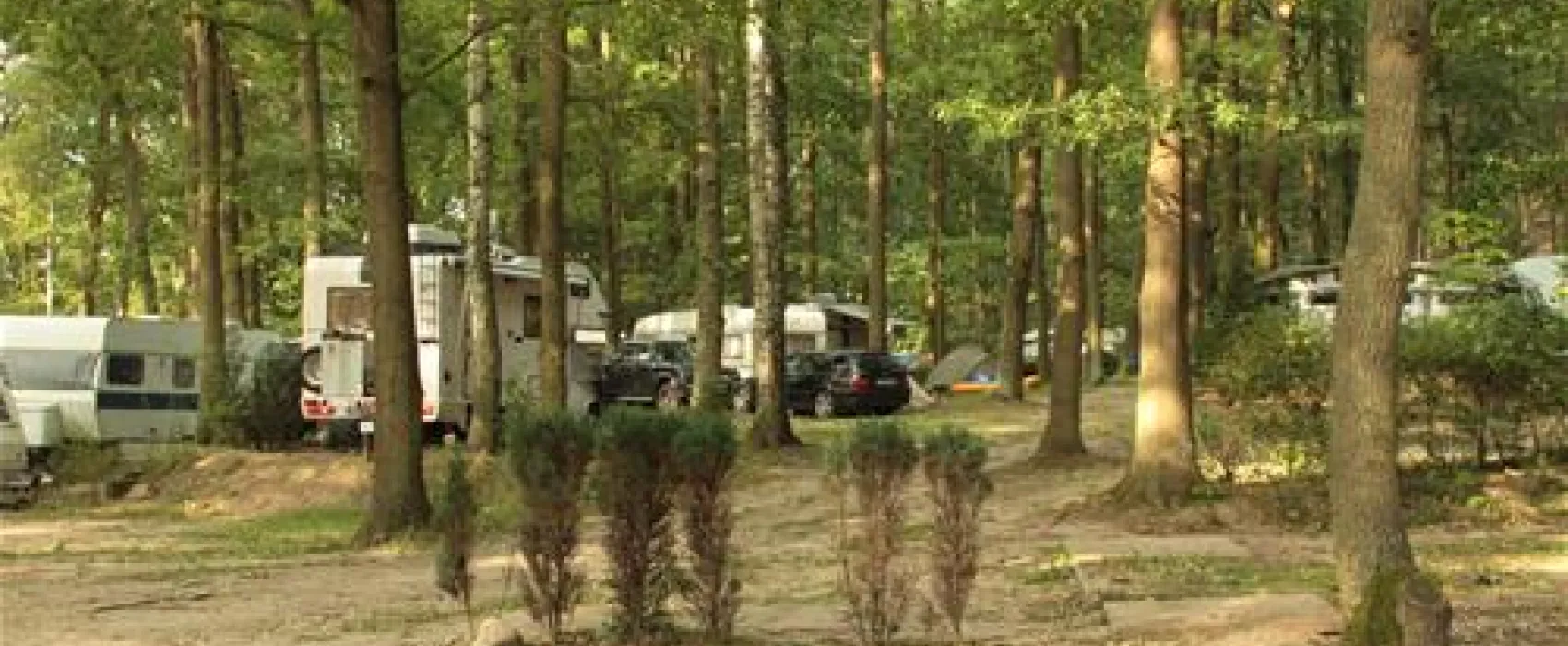 Schwielowsee Camping