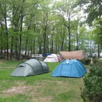 schwielowsee-camping-schwielowsee-ot-ferch-rhhhp