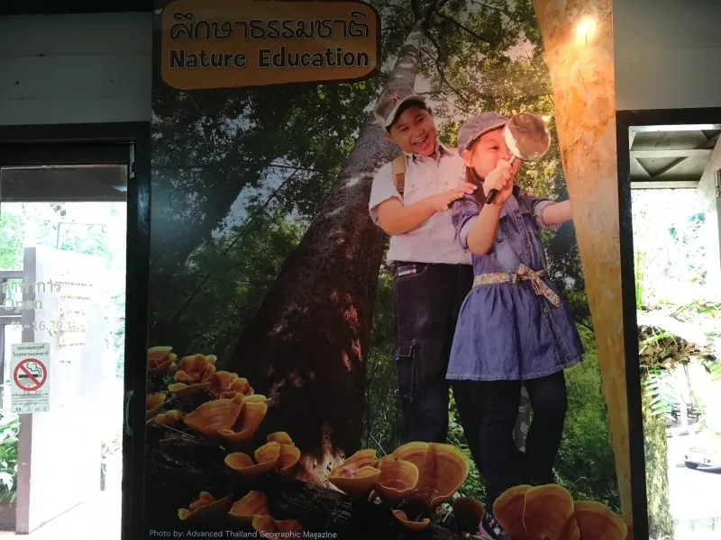 doi-sutheppui-national-park-chiang-mai-8kvtd