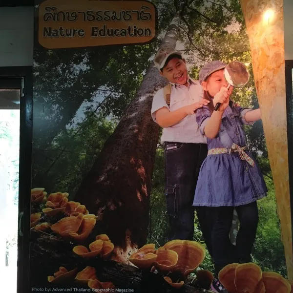 doi-sutheppui-national-park-chiang-mai-8kvtd