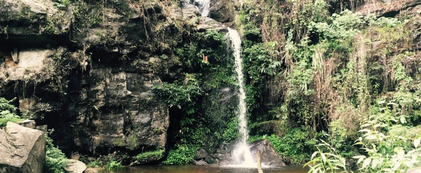 Doi Suthep-Pui National Park