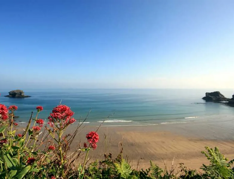 tehidy-holiday-park-illogan-ajfdg