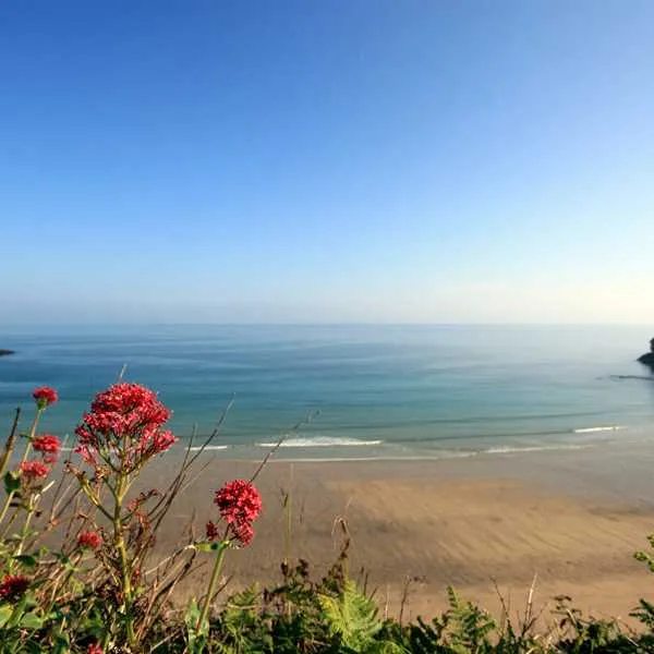 tehidy-holiday-park-illogan-ajfdg