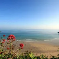 tehidy-holiday-park-illogan-ajfdg