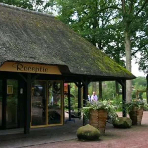camping-norgerberg-norg-dumyb