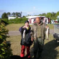 Fynshoved Camping