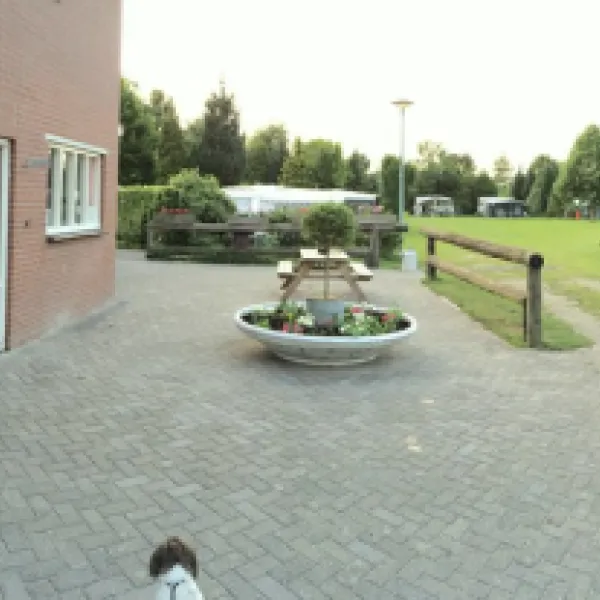 camping-de-eendenkooi-horst-igvul