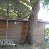 parque-de-campismo-de-tres-rios-maravilha-mirandela-g6nhu