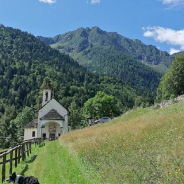 camping-monte-rosa-vanzone-san-carlo-smrsu