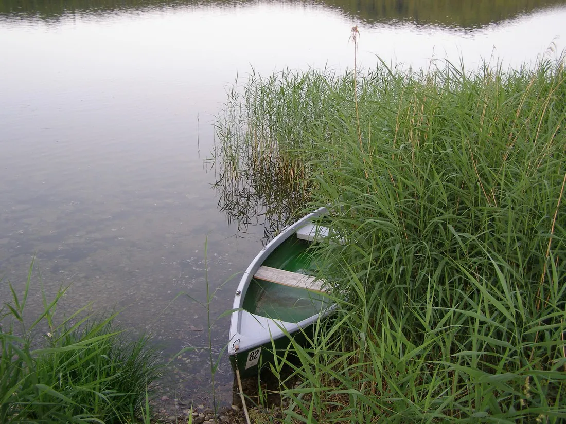 camping-ampersee-olching-bei-mnchen-orrn0