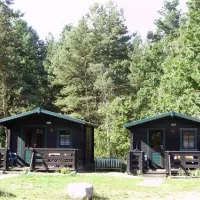 spreewaldnatur-camping-am-see-hindenberg-arv84