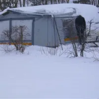 spreewaldnatur-camping-am-see-hindenberg-be4ge