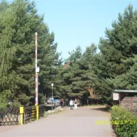 spreewaldnatur-camping-am-see-hindenberg-ox9qq